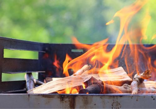 Barbecue Grill with Wood Fire