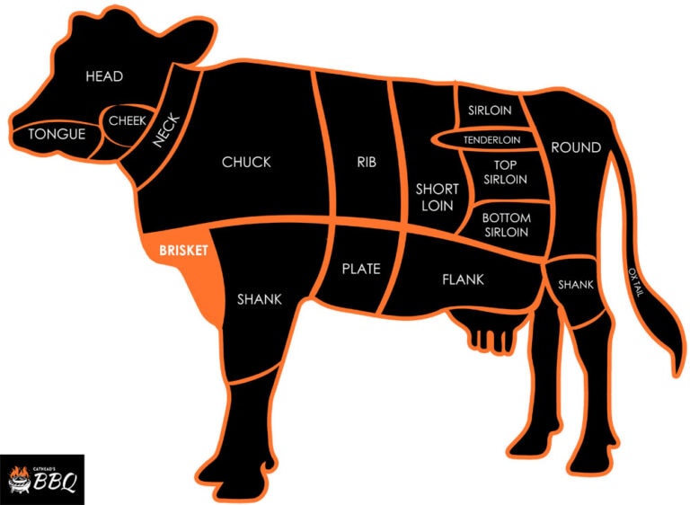 What Part Of The Animal Is Barbacoa