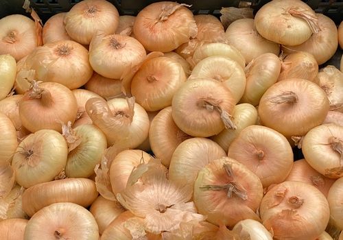 Italian Cipollini Onions