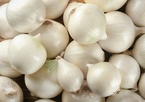 Set of White Onions