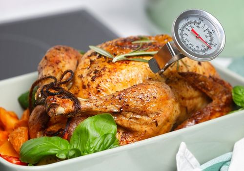 Golden Roasted Turkey with Meat Thermometer