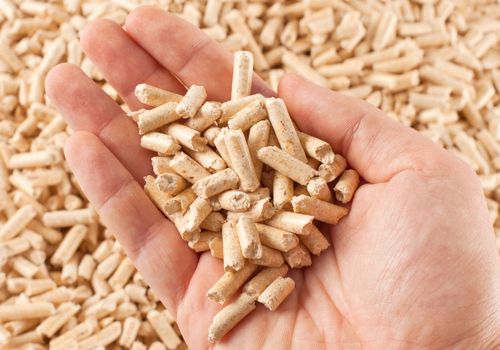 Wood Pellets in the Hand