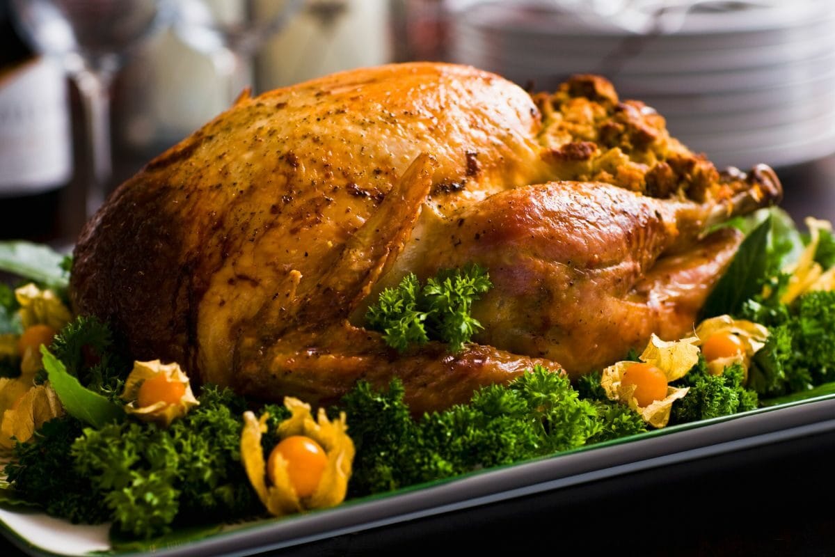 Roasted Turkey on the Platter