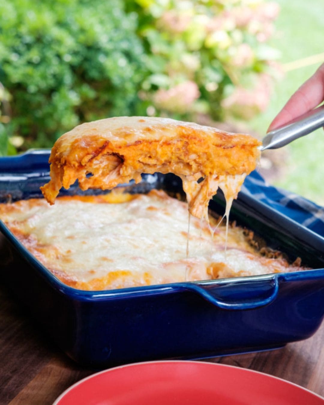 Spiced Up Cheesy Chicken Enchilada Casserole
